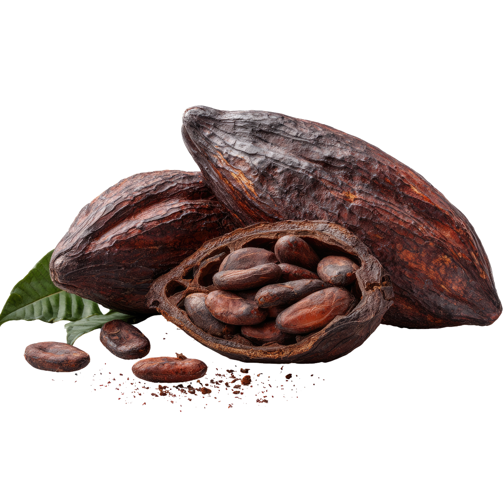 Cacao Pod