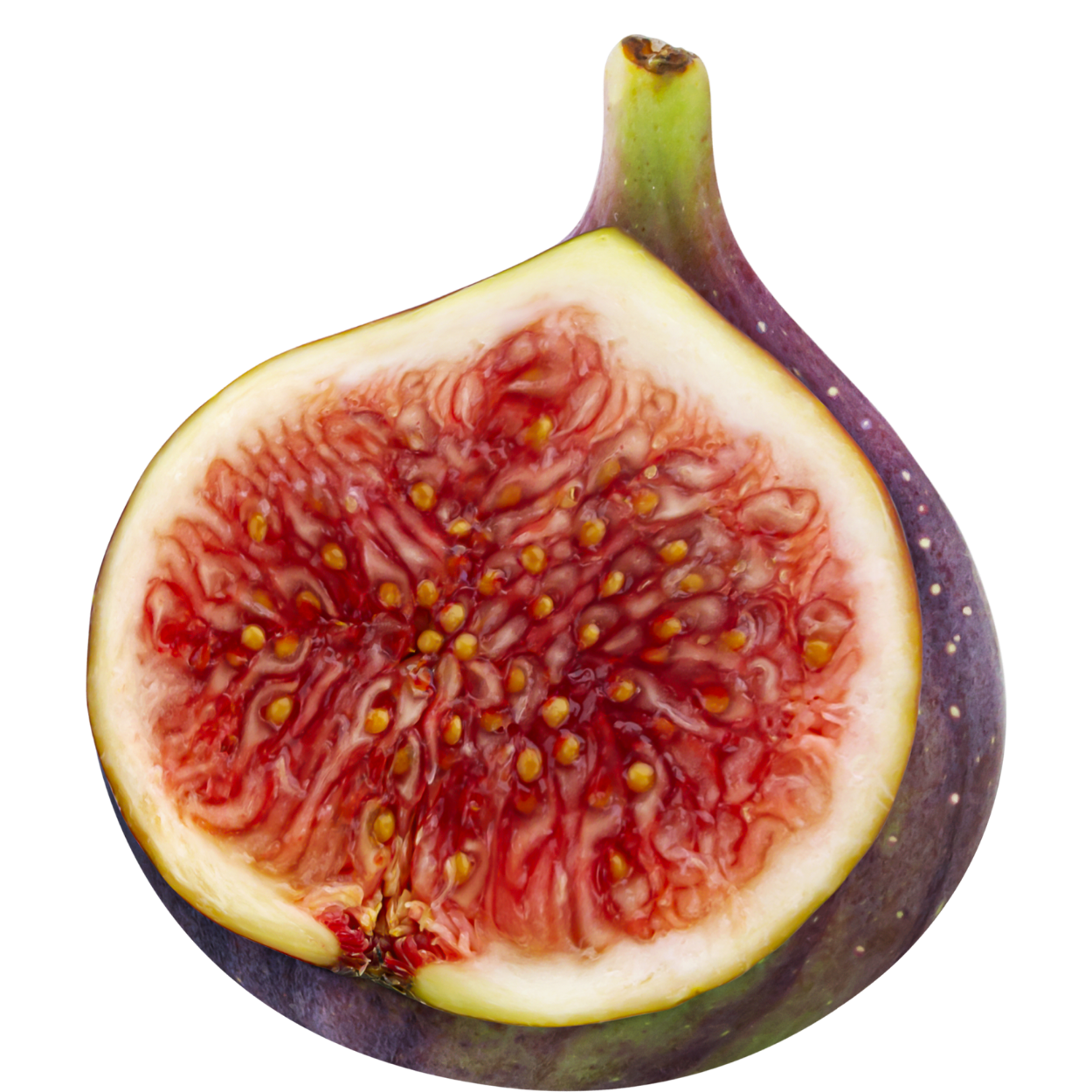 Fig