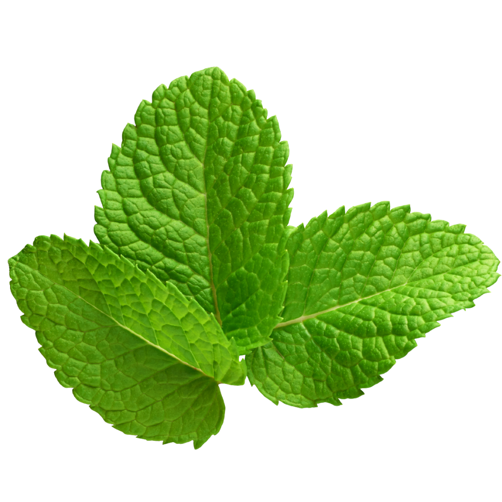 Mint