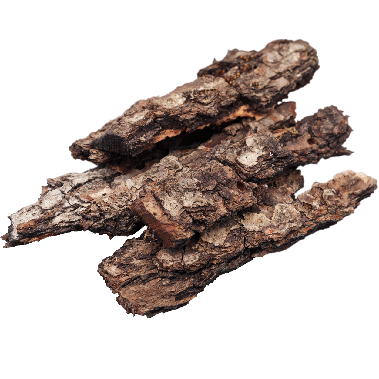Agarwood (Oud)