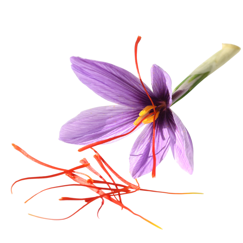 Saffron
