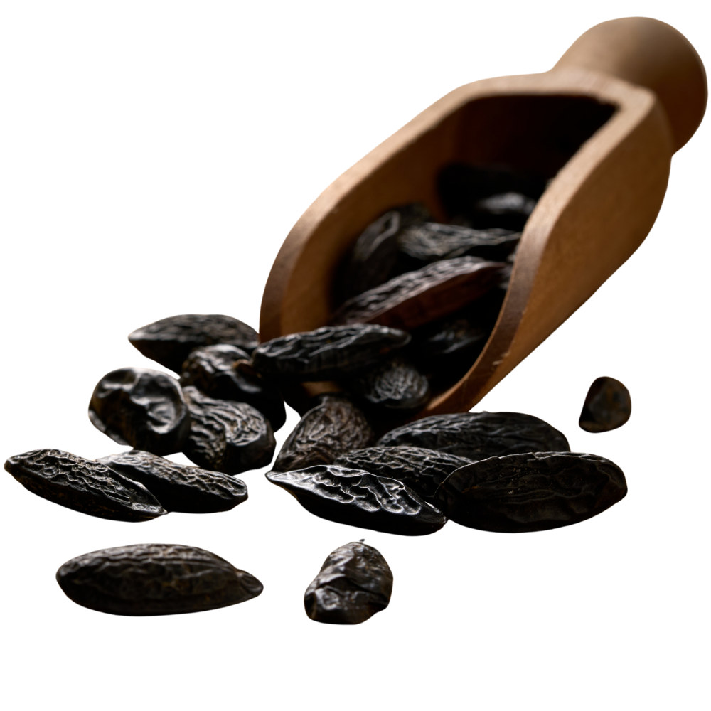 Tonka Bean