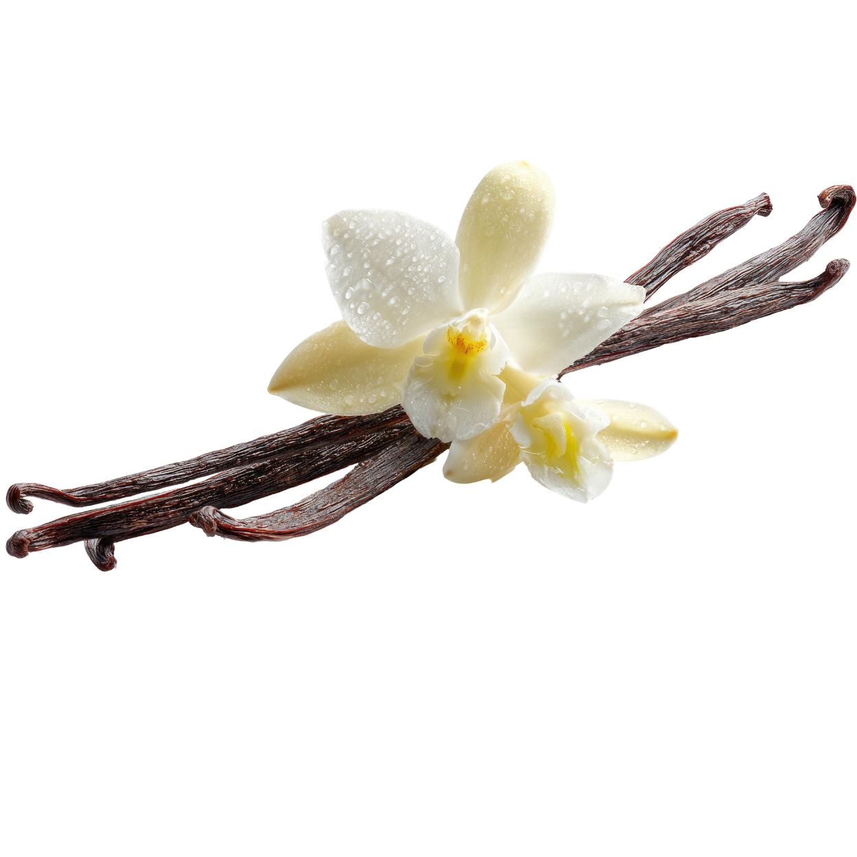 Vanilla